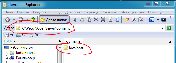 Папка со скриптами домена localhost