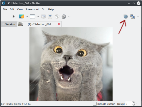 Ubuntu 18.04: Shutter - не активная кнопка Edit